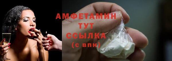гашик Козельск